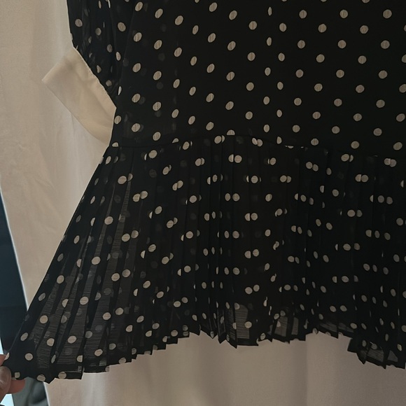Zara Long Sleeve Polka Dot Dress with Collar - Picture 5 of 6
